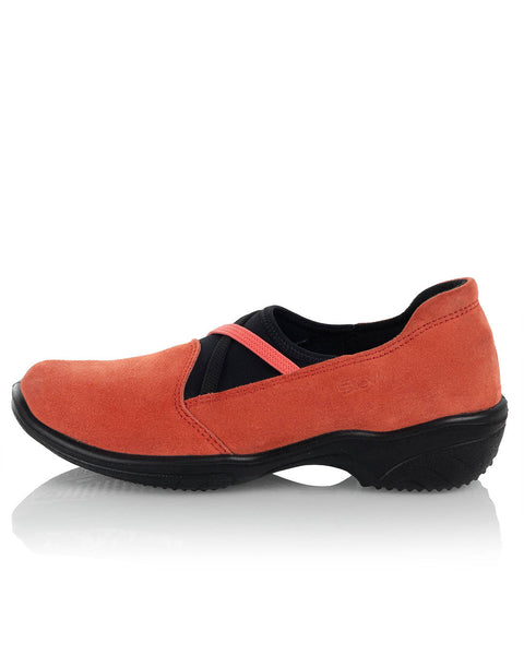 Sievi Auri aprikoosi