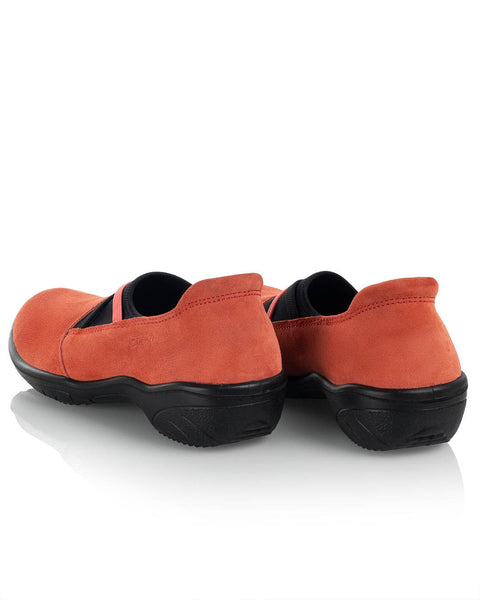 Sievi Auri aprikoosi - Image 4