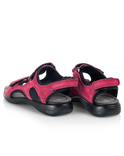 Sievi Helle vadelma - Image 4